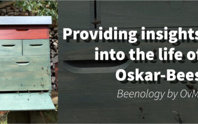 Oskar-Bees starten in die Sommerferien